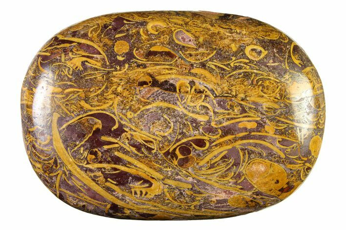 Polished Miriam Stone Palm Stone - India #342283